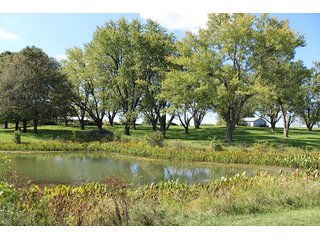 Property photo 13 - Tillable, Pasture, Recreational, Hunting and Fishing Property  
